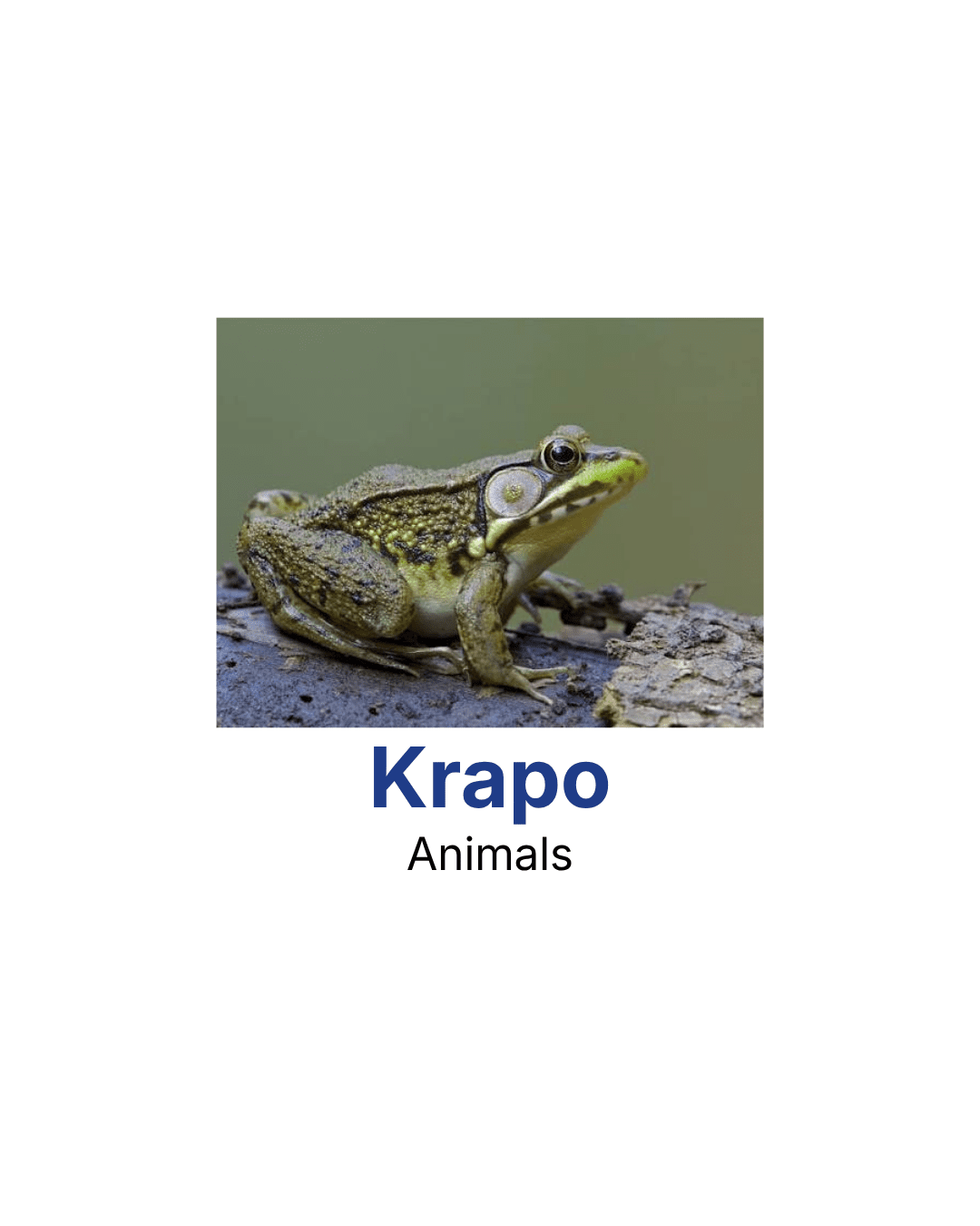 kay