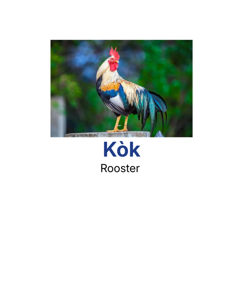 Rooster
