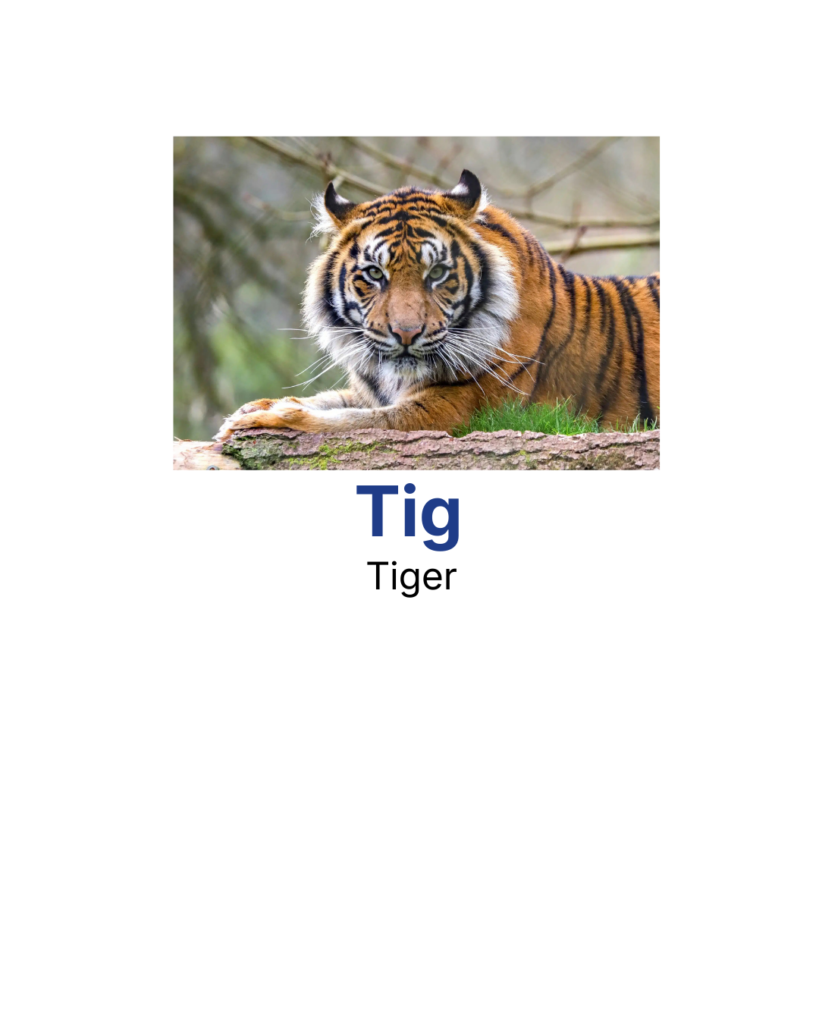 Tiger