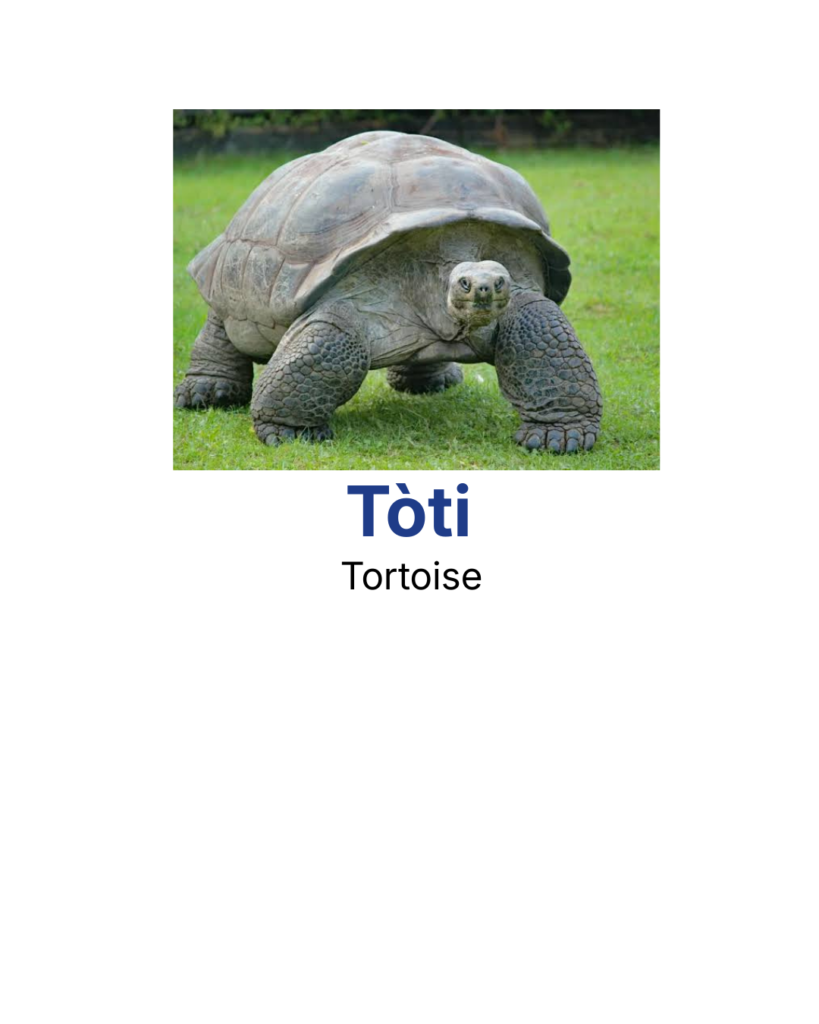 Tòti