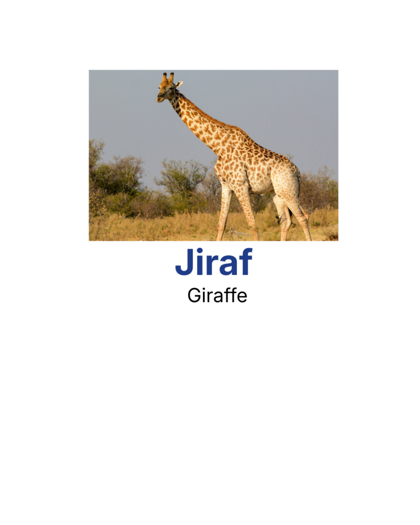 Giraffe