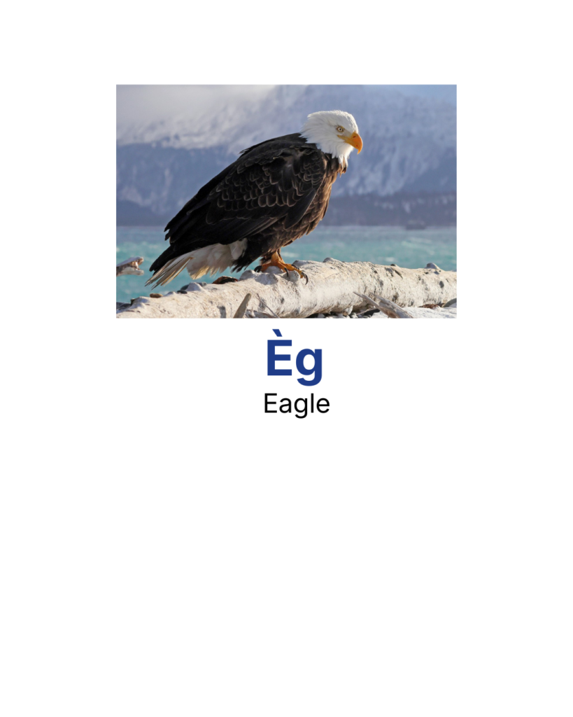 Eagle